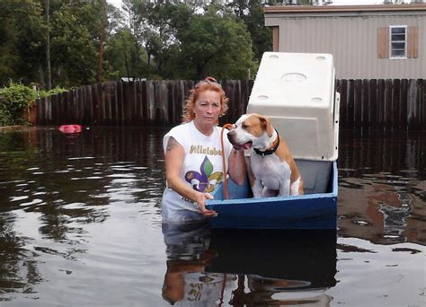 villalobos rescue center|villalobos rescue tragedy.